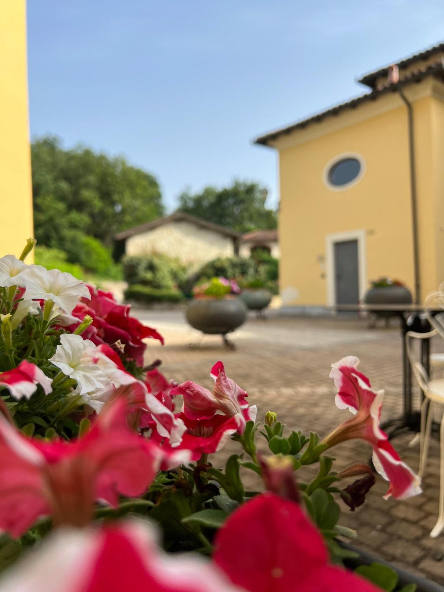 Maison d'hôtes Casale Milleseicento à Gavi Extérieur photo